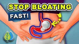 5 Ways to STOP Bloating Fast  How to Get Rid of Belly Bloating Fast [upl. by Airdni]