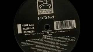 PQM  You Are Sleeping PQM Meets Luke Chable Vocal Pass [upl. by Atekehs]