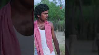 Ennanga paiyana apdiye vittutu poringa mundhanaimudichu bhagyaraj urvashi comedyscenes shorts [upl. by Norita]