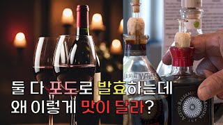 똑같은 포도로 발효했는데 왜 맛이 달라알코올발효와 초산발효의 차이Difference of alcoholic fermentation and acetic fermentation [upl. by Ykcaj]