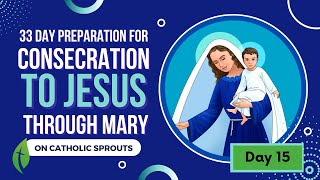 Total Consecration to Jesus Through Mary Day 15 [upl. by Leugar803]