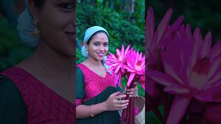 ഞങ്ങളുടെ തിരുവോണ ആഘോഷം 🌼🪷🪷saranyasbeautyvlogs [upl. by Pestana]