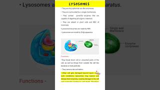 Lysosomes Structure and Function [upl. by Japheth]