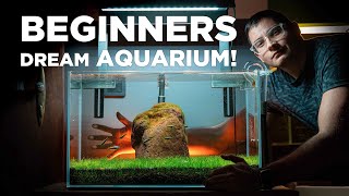 BEGINNERS dream AQUARIUM Watch how I built it in just a few SIMPLE STEPS [upl. by Airbmak]