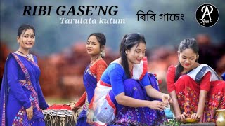 RIBI GASENG  Tarulata Kutum  Riyan Raj  Sewali amp Lakhimirani  Dance Cover video 2022 [upl. by Nyleaj]