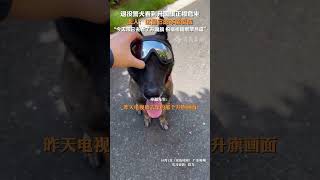 10月1日（采訪時間），廣東梅州，退役警犬看到升國旗正襟危坐 ，主人：這是它本能反應。 [upl. by Zobias]