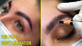 Follow along Brow Lamination tutorial for all eyebrow types Pro Pencil [upl. by Ecnadnac]