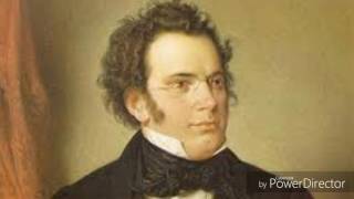 Schubert  Symphony 8 quot Unfinished quot [upl. by Enilada362]