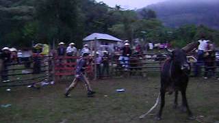 jaripeo en acoyotla 2010 monta de mi compa leovardo [upl. by Nerrak]