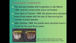 The Significance of Arbuscular Mycorrhizal Fungi and Its Association with Plant Diversity [upl. by Leal]