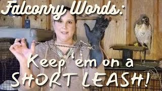 Falconry Words  Short Leash Yes this is from falconry [upl. by Phillis]