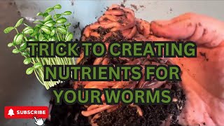 Composting Worm Nutrition Is Important ￼worms vermicompost compost [upl. by Oilut]