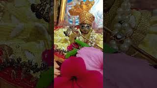 Sawariya le chal parli paar🫶🧡radheshayam love krishna newsong shorts [upl. by Euqinwahs559]