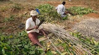 Mechanization in Sericulture in Kanadda language [upl. by Ahsemal]