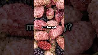 what is Morula morula embryonicdevelopment mulberrycell [upl. by Nref]