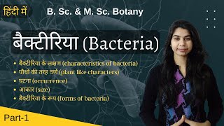 Bacteria in Hindi बैक्टीरिया हिंदी में  Diversity of microbes  Botany  B Sc amp M Sc [upl. by Venetis43]