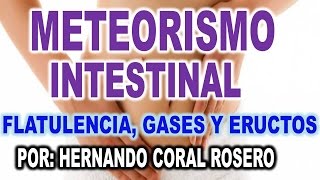 METEORISMO INTESTINAL  FLATULENCIA GASES Y ERUCTOS [upl. by Yesrej]