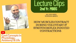 Live Clips All about physiology of Reflexbased amp Voluntary muscle contractions  2nd Year MBBS [upl. by Naujad]