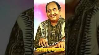 Chaudhvin ka chand ho  Mohammad rafi song  shorts shortsvideo viral viralshorts trending [upl. by Trimble]