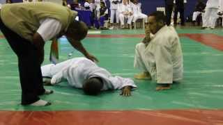 Relic Wessels Judo Throw Breaks Arm [upl. by Henebry]