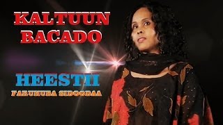 KALTUUN BACADO  FARUHUBA SIDOODA  OFFICIAL VIDEO [upl. by Herring803]