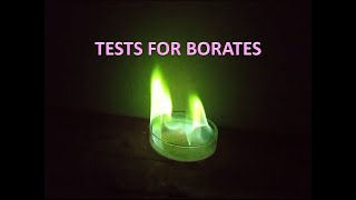 Tests for borates [upl. by Alleoj851]