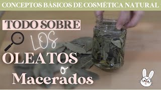 ¿Qué son los OLEATOS o MACERADOSCONCEPTOS BÁSICOS DE COSMÉTICA NATURAL [upl. by Madigan578]