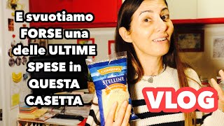 vlog CHIACCHIERINE e SVUOTA LA SPESA [upl. by Afihtan836]