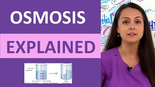 Osmosis Explained Solutes and Osmolarity  What is Osmosis Nursing School Review NCLEX [upl. by Nnylanna221]