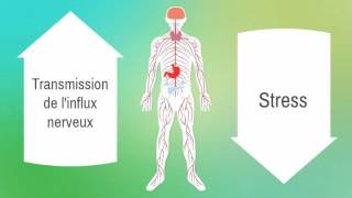 3TUTOFORMATION GESTION DU STRESS Canaliser son stress  Institut François Bocquet [upl. by Verile]