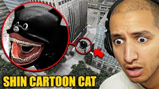 Drone Catches SHIN CARTOON CAT in a City [upl. by Irtimid]