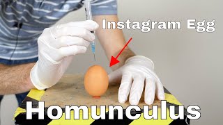 Man Makes Homunculus Monster From Instagram Egg [upl. by Notac]