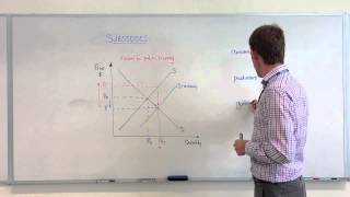 Microeconomics  Subsidies [upl. by Ane]