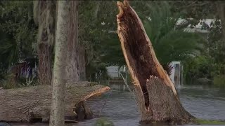 Port Orange residents hit with tragic storm damage [upl. by Moe476]