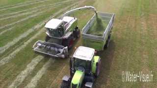 Chantier densilage de Ray grass italien avec une Ensileuse Claas Jaguar 890 [upl. by Bj]