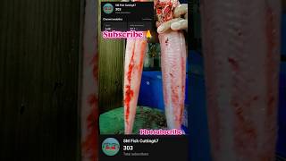 Amazing barrel fish cutting ✂️🐟 baralfish cuttingskills seafood fishing shorts [upl. by Nomrej]