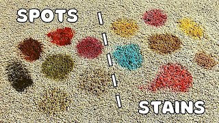 How to Remove Any Carpet Spot or Stain in Two Steps or Less [upl. by Ajax]