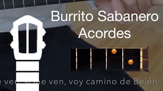 Burrito Sabanero  Canta con el Cuatro [upl. by Atel]