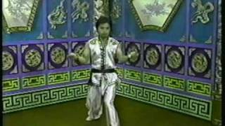 Kung Fu Theater with Master Tat Mau Wong [upl. by Stedmann]