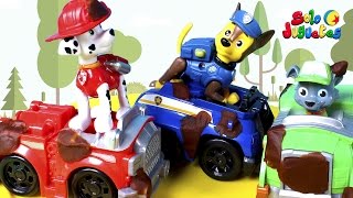 🐾 LA PATRULLA CANINA 🐾 Al rescate de un pájaro  Vídeos de Paw Patrol en Español [upl. by Averat629]