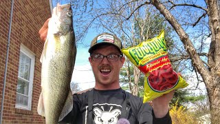 Flamin HOT Walleye Catch N Cook CRAZY GOOSE ATTACKS [upl. by Ahsiam612]