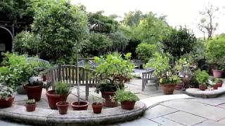 Dumbarton Oaks Gardens Arbor Terrace [upl. by Socin]