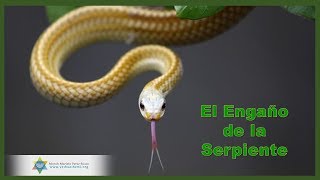 Estudios Bíblicos Génesis Clase 15 El Engaño de la Serpiente [upl. by Brooke408]