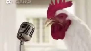 2017 Year Of The Rooster Song By JGeco 🎤🐔 [upl. by Acissehc]