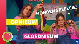 LAAT DE HOND AAN JOUW TSHIRT KNABBELEN  Opnieuw gloednieuw [upl. by Vasta920]