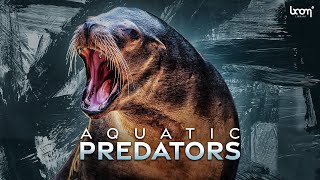 AQUATIC PREDATORS  Sound Effects  Trailer [upl. by Annuhsal]