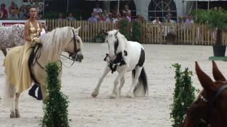 Paard los op hollands next top horse finale [upl. by Eceined560]