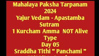 Malaya Paksham 24 Yajur Vedam Apastamba Sutam 1 Kurcham Amma NOT Alive Day 5 Panchamai 220924 Sun [upl. by Ahsenet693]