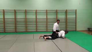 Hanmi Handachi Waza Katate Dori Ikkyo [upl. by Briscoe]