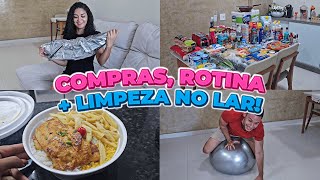 Rotina de Dona de Casa Compras do Mês Chegou Minha Bola de Grávida [upl. by Suzann728]